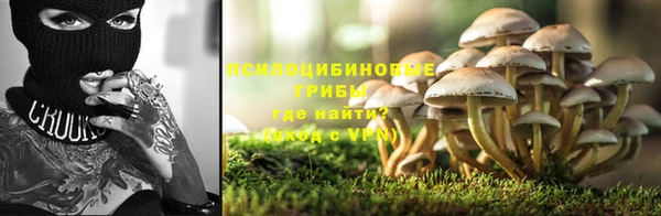 таблы Нея