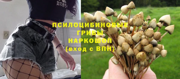 таблы Нея